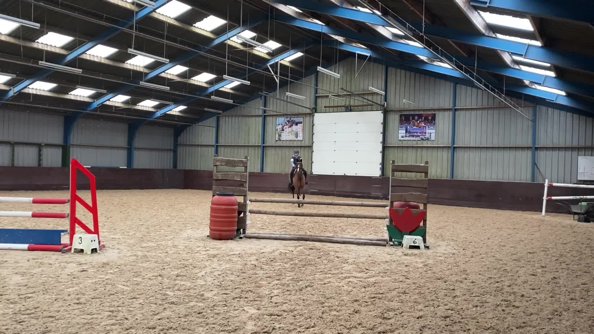 @allroundxgroep🩷🐴
