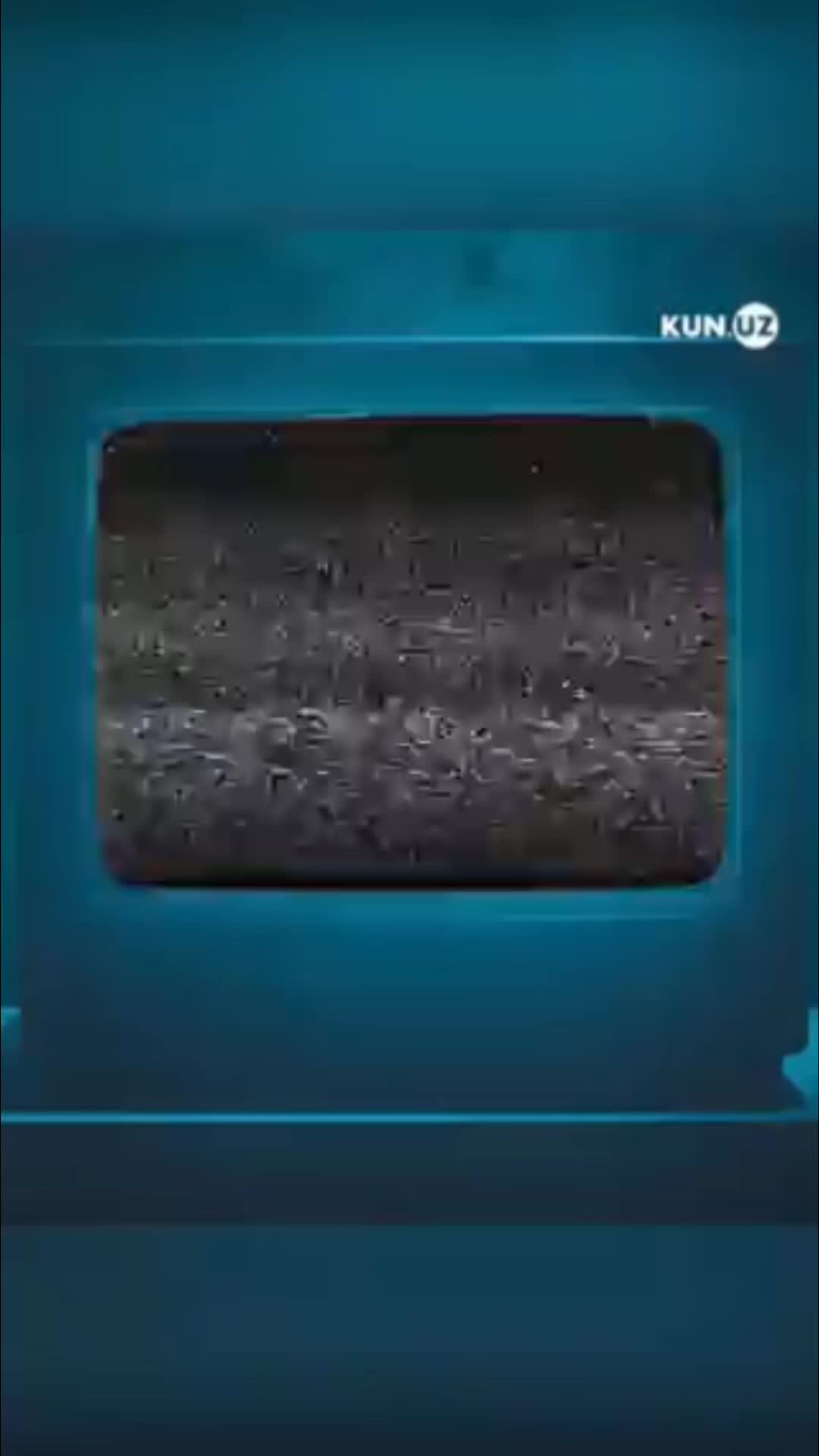 @vodiy_baozar