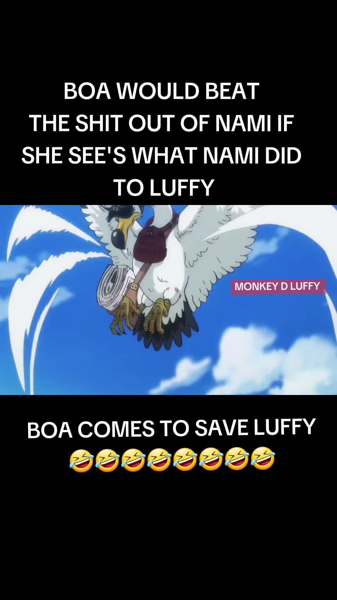 @Luffy