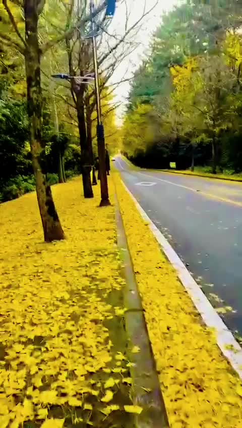 @Dulashi