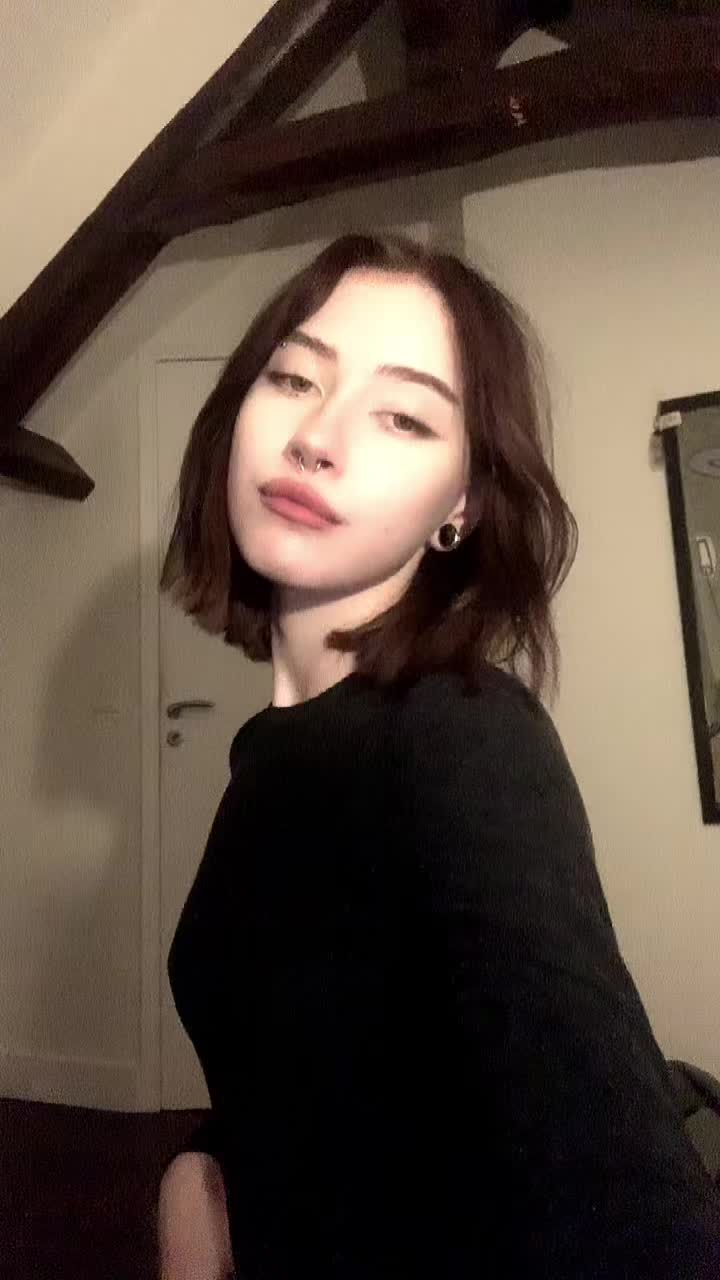 @Schefferdaria🐾