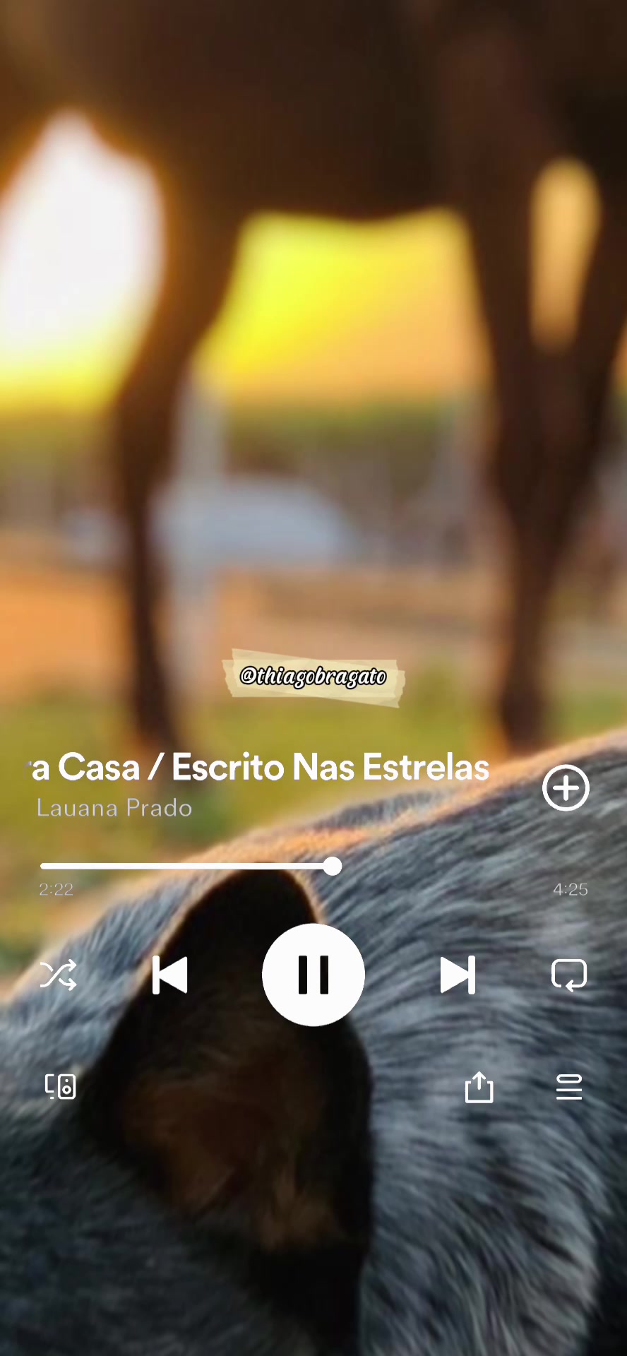 @Thiago Bragato