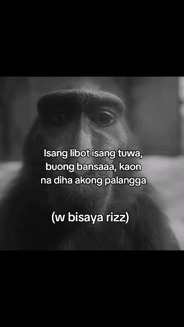 @Francis🏴