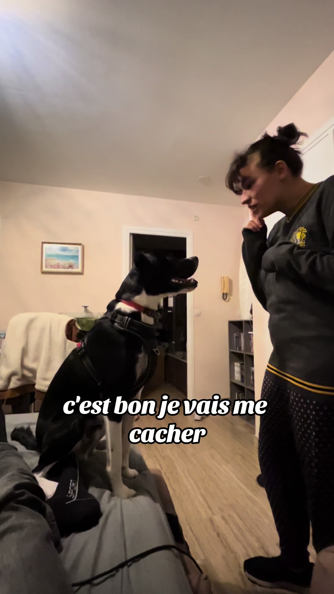 @THANOS - BORDER x EPAGNEUL