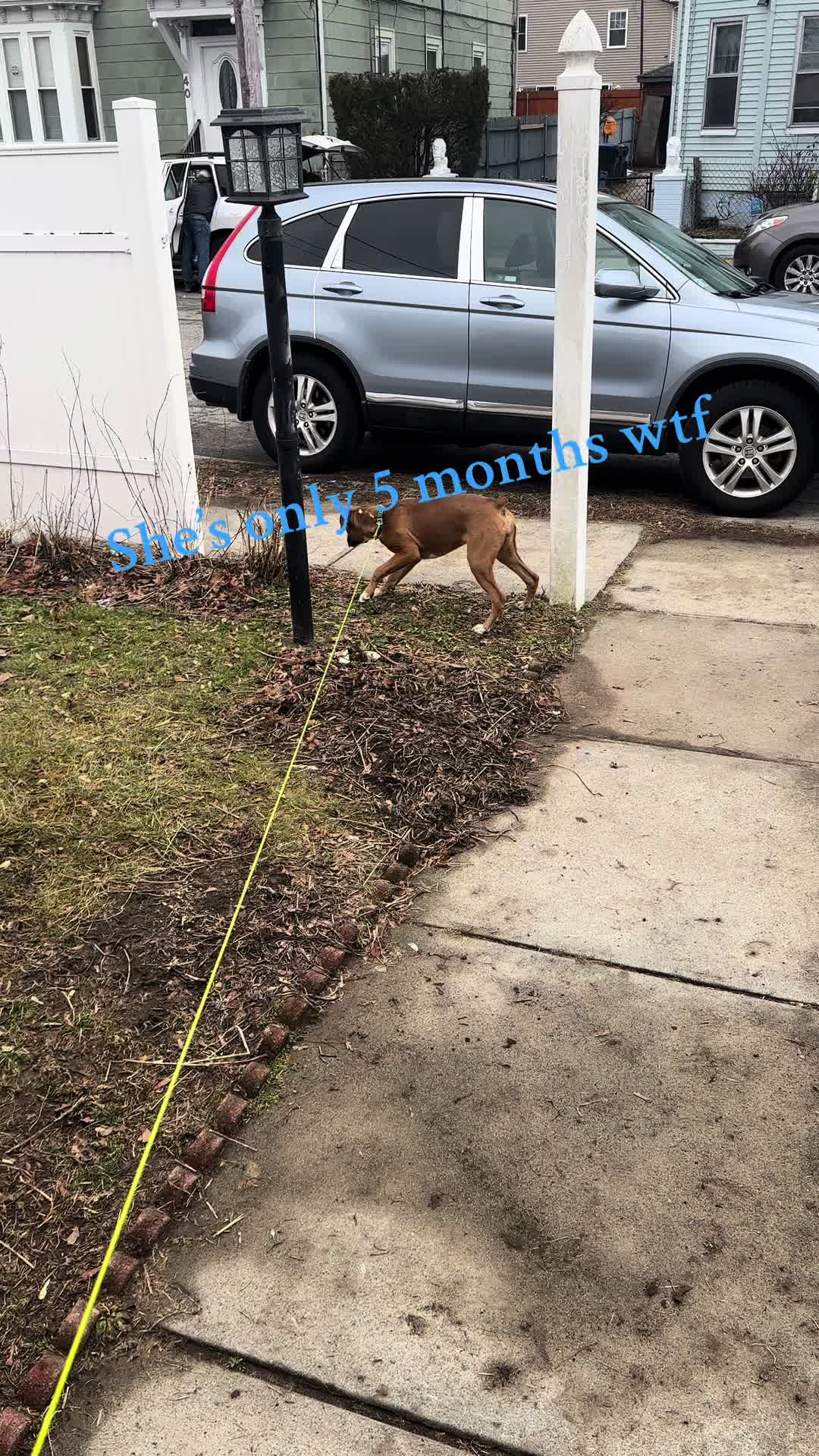 @barzworld