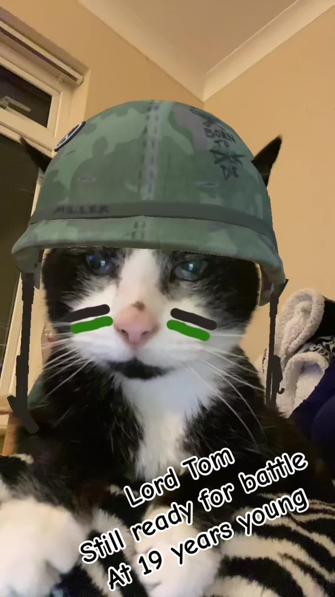 @GiddyAboutGoats