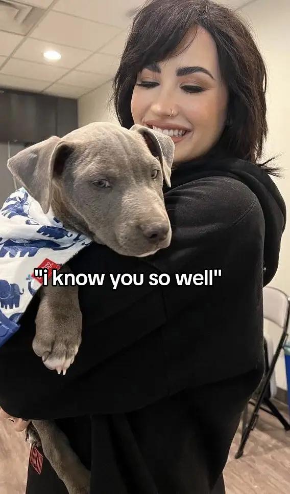 @lovatics