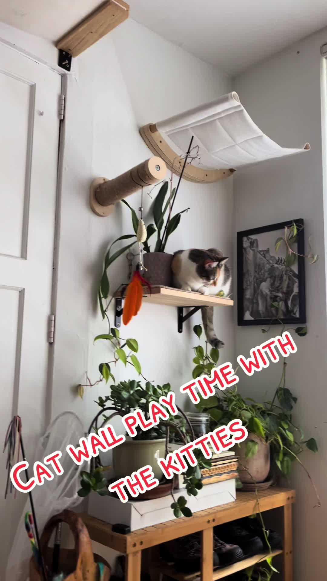 @sarahharperbanana