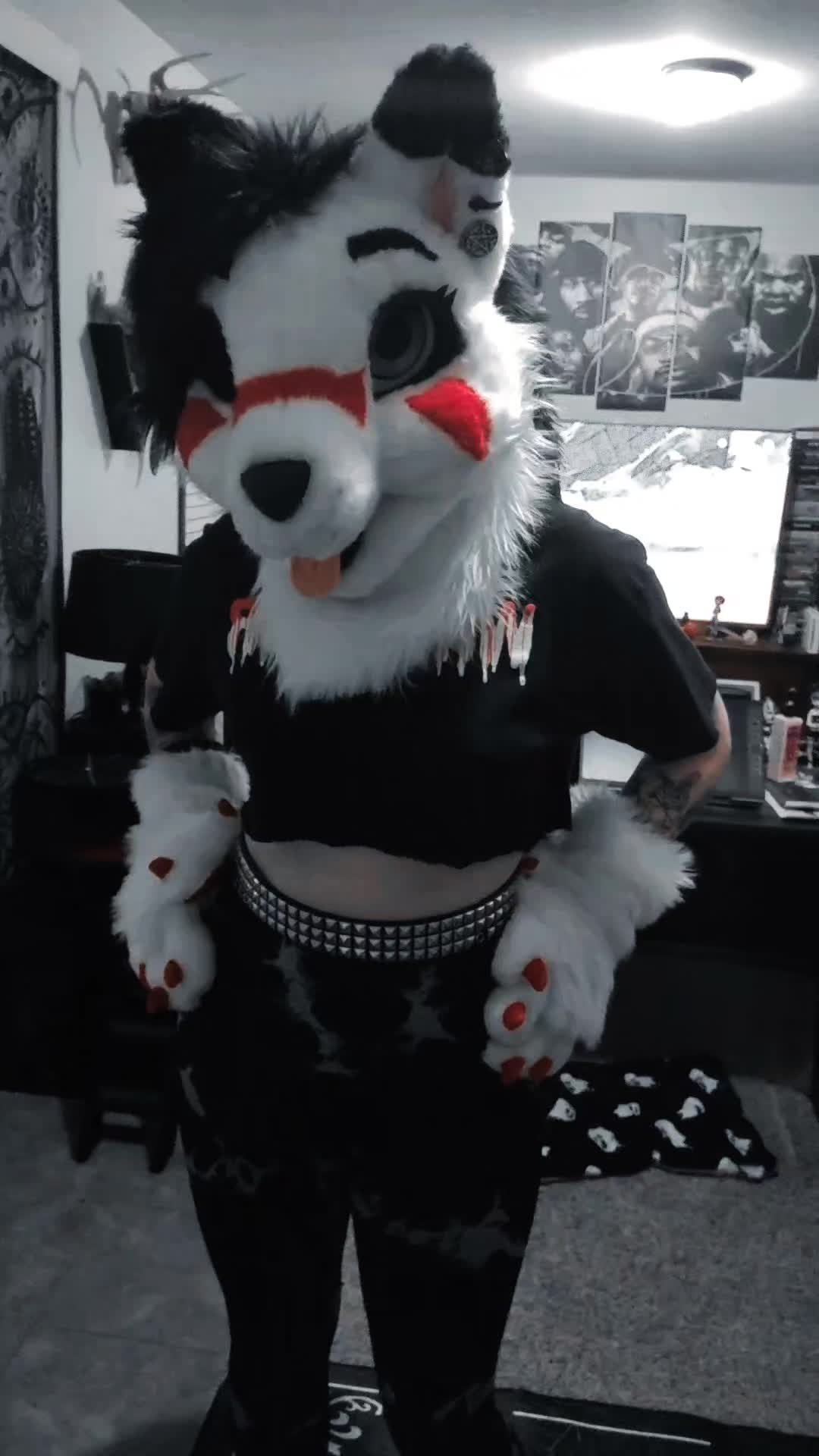 @🖤furbloodberry🖤 @ Home