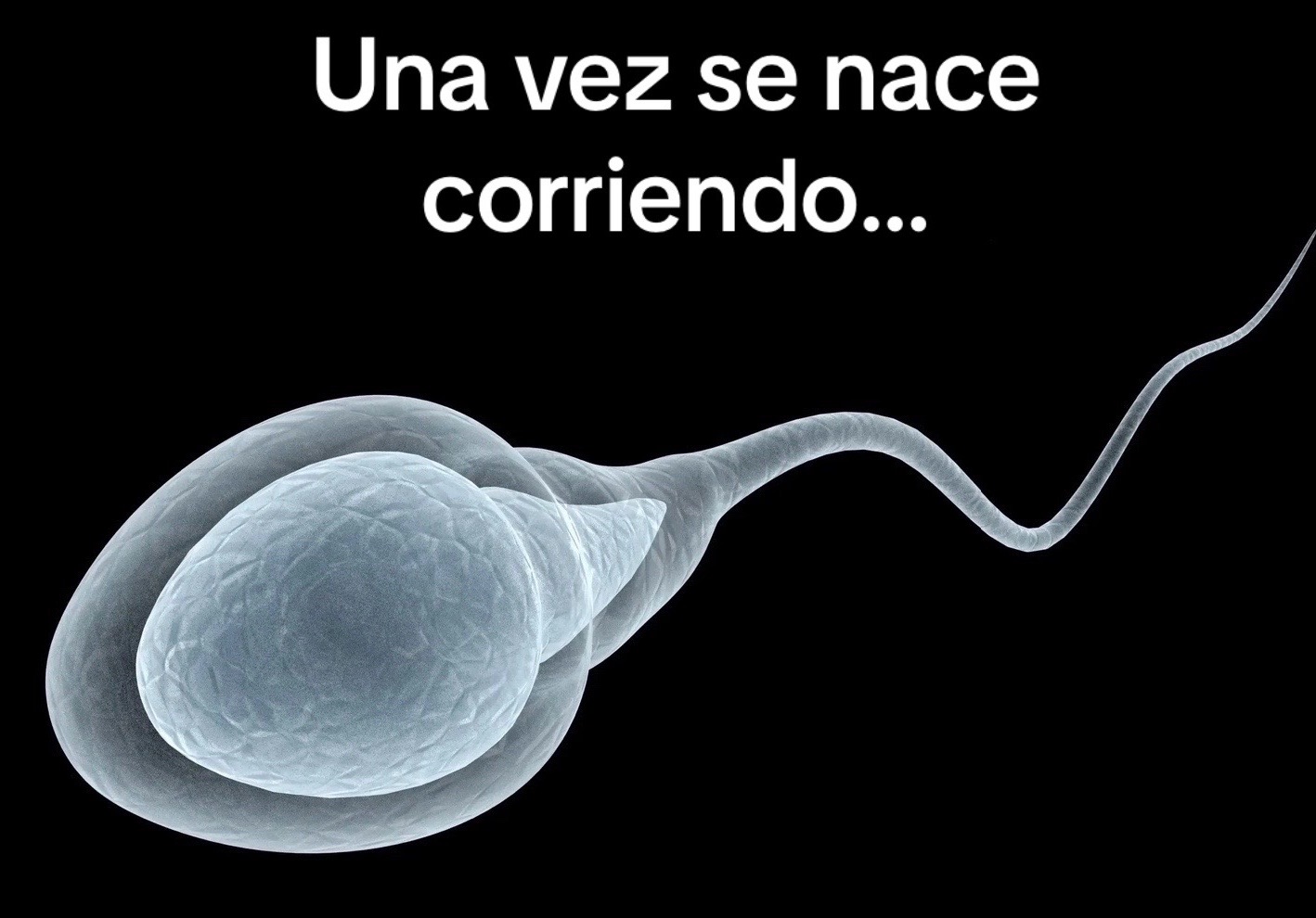 @MTovar98