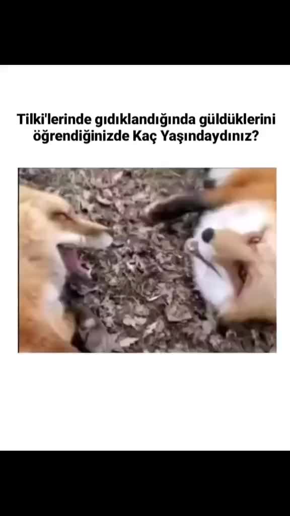 @funnypeopple