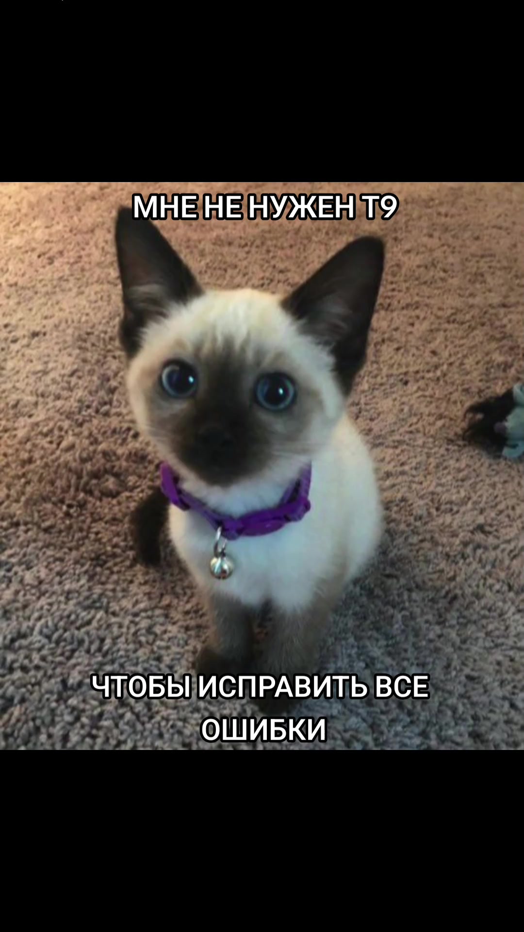 @культ эскапизма