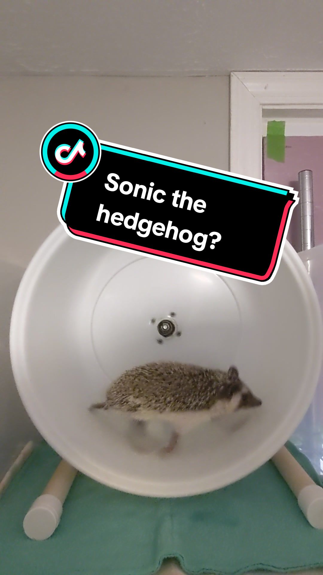 @hedgehogprecision