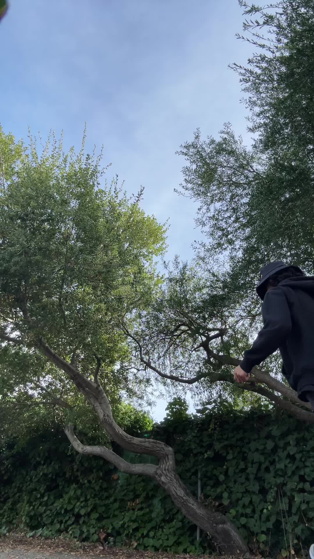 @1loutenant