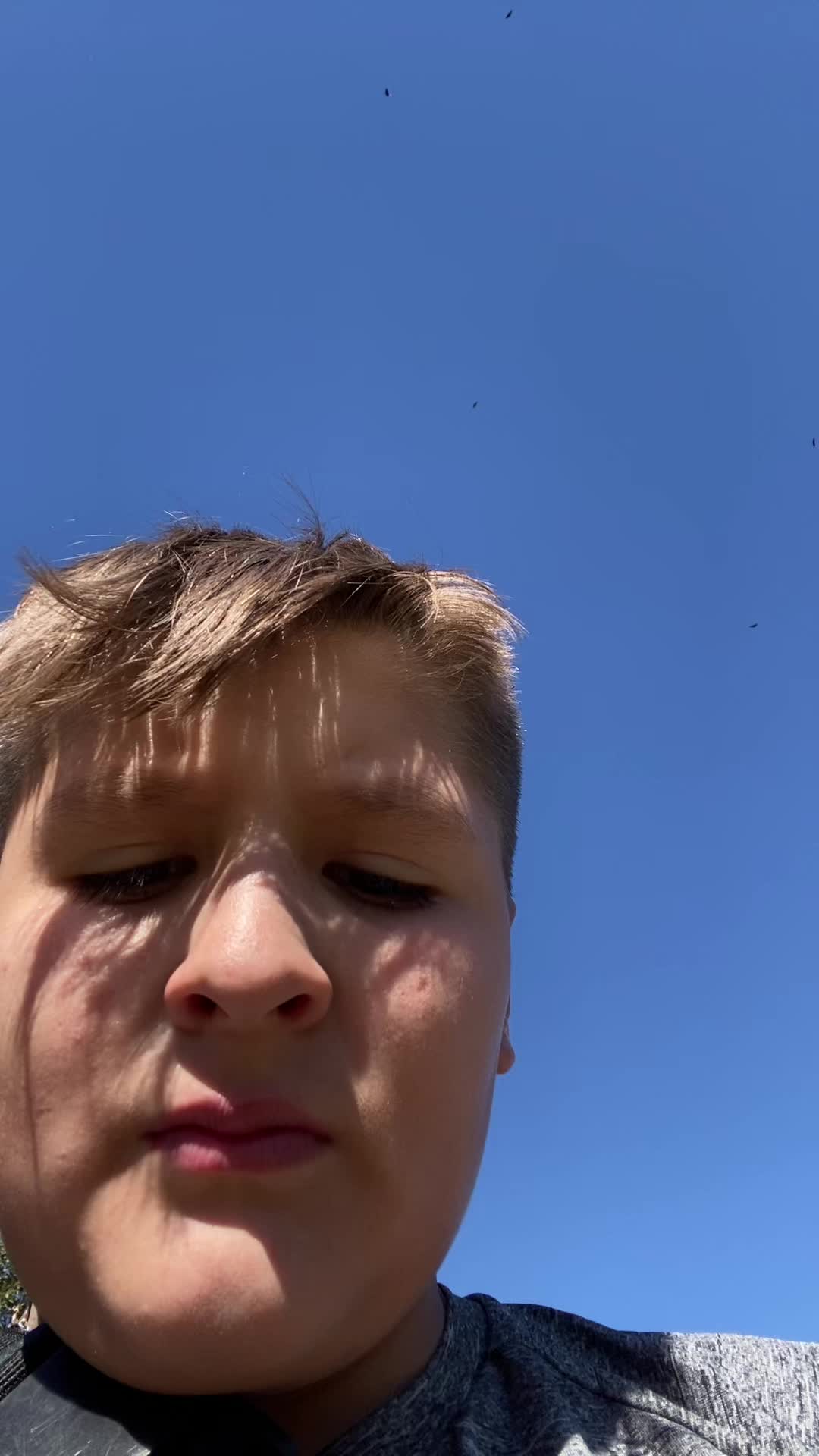 @Laymannnnn
