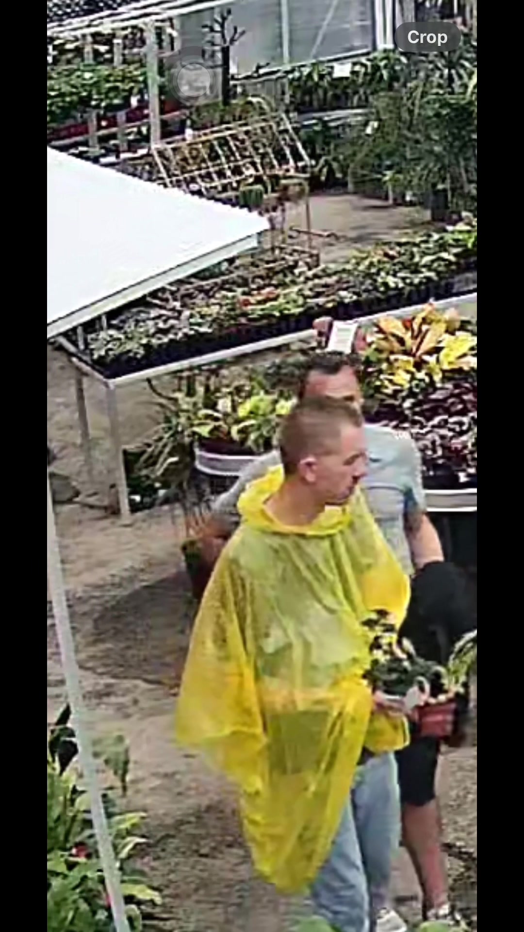 @That plant girl