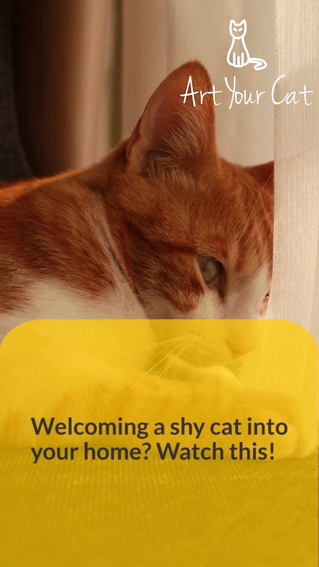 @artyourcat