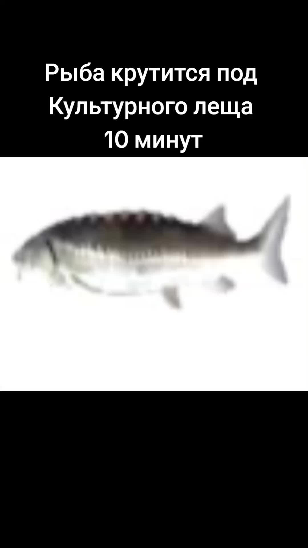 @непослушная кобыла