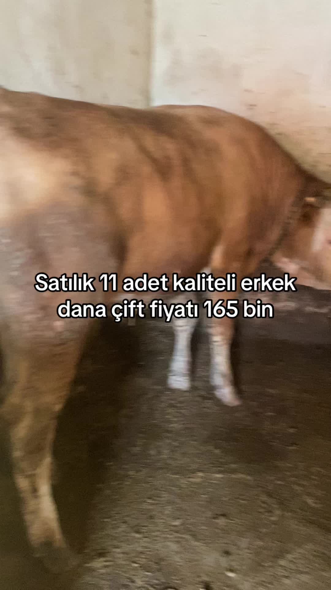 @yusuf yıldırım 04