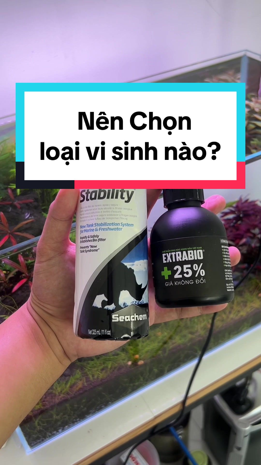@Tìm Hiểu Thủy Sinh