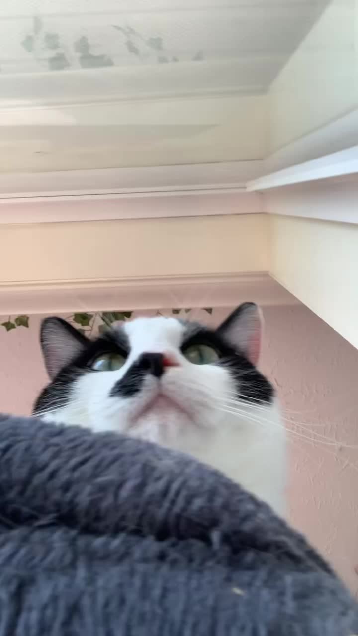 @𝖆𝖆𝖑𝖎𝖞𝖆𝖍 𝖇𝖗𝖊𝖊