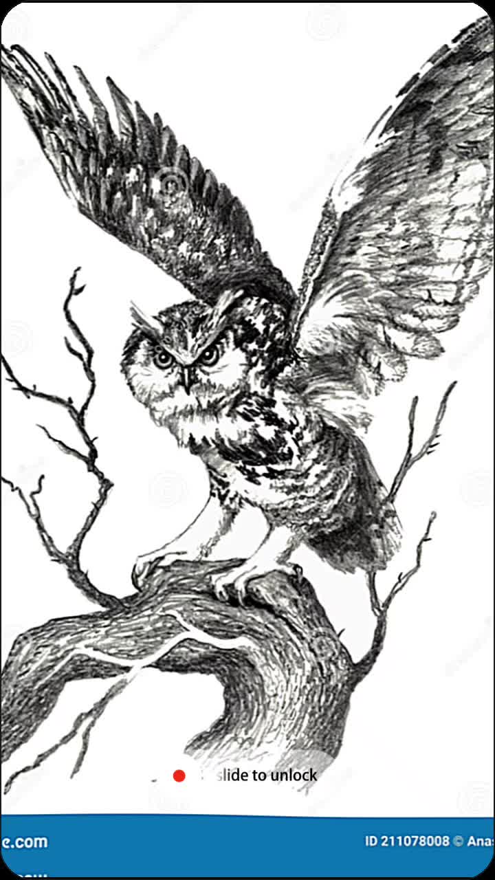 @įѵąղ🦉చ&igrave;ʂҽ✔️