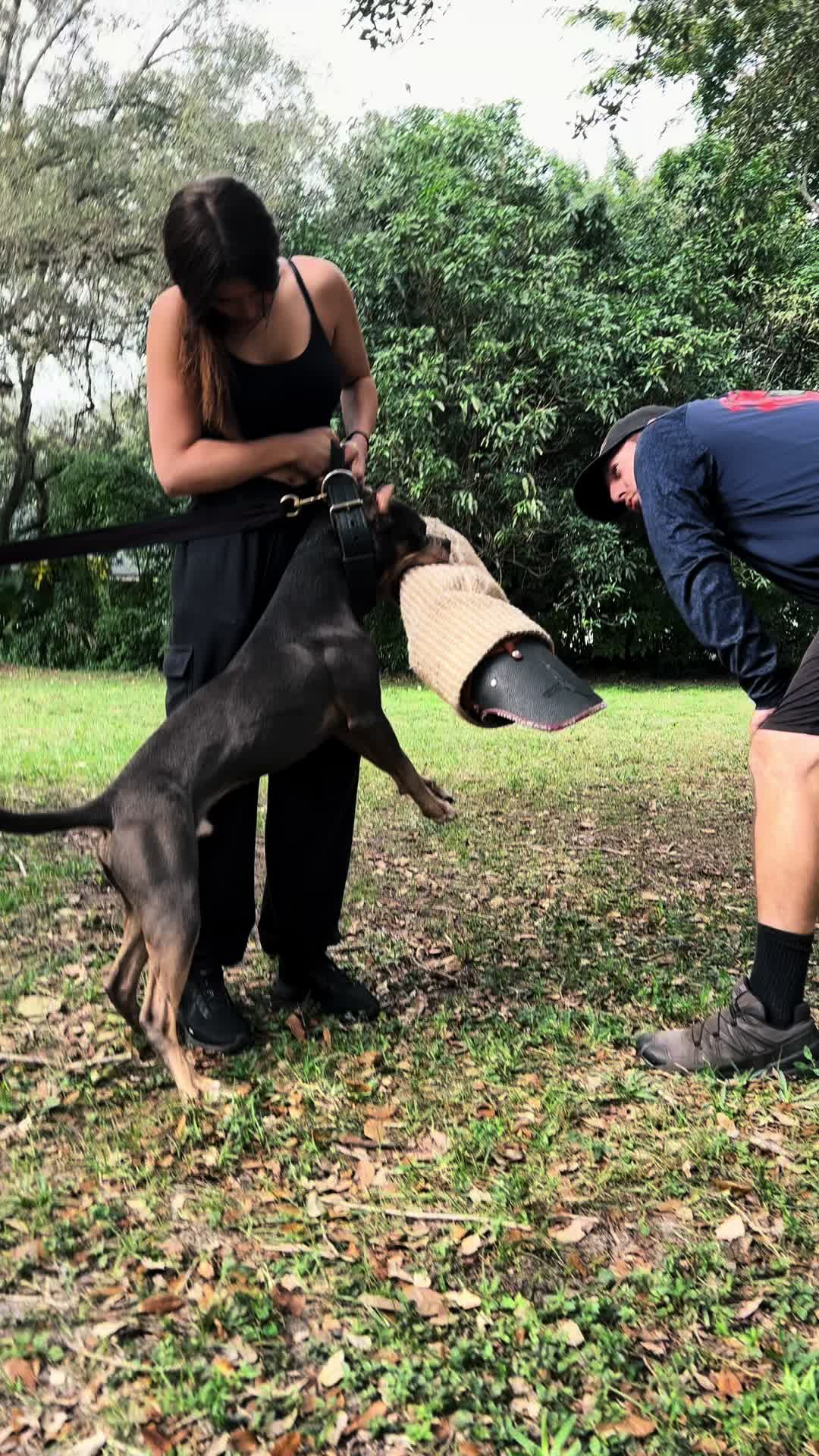 @🖤