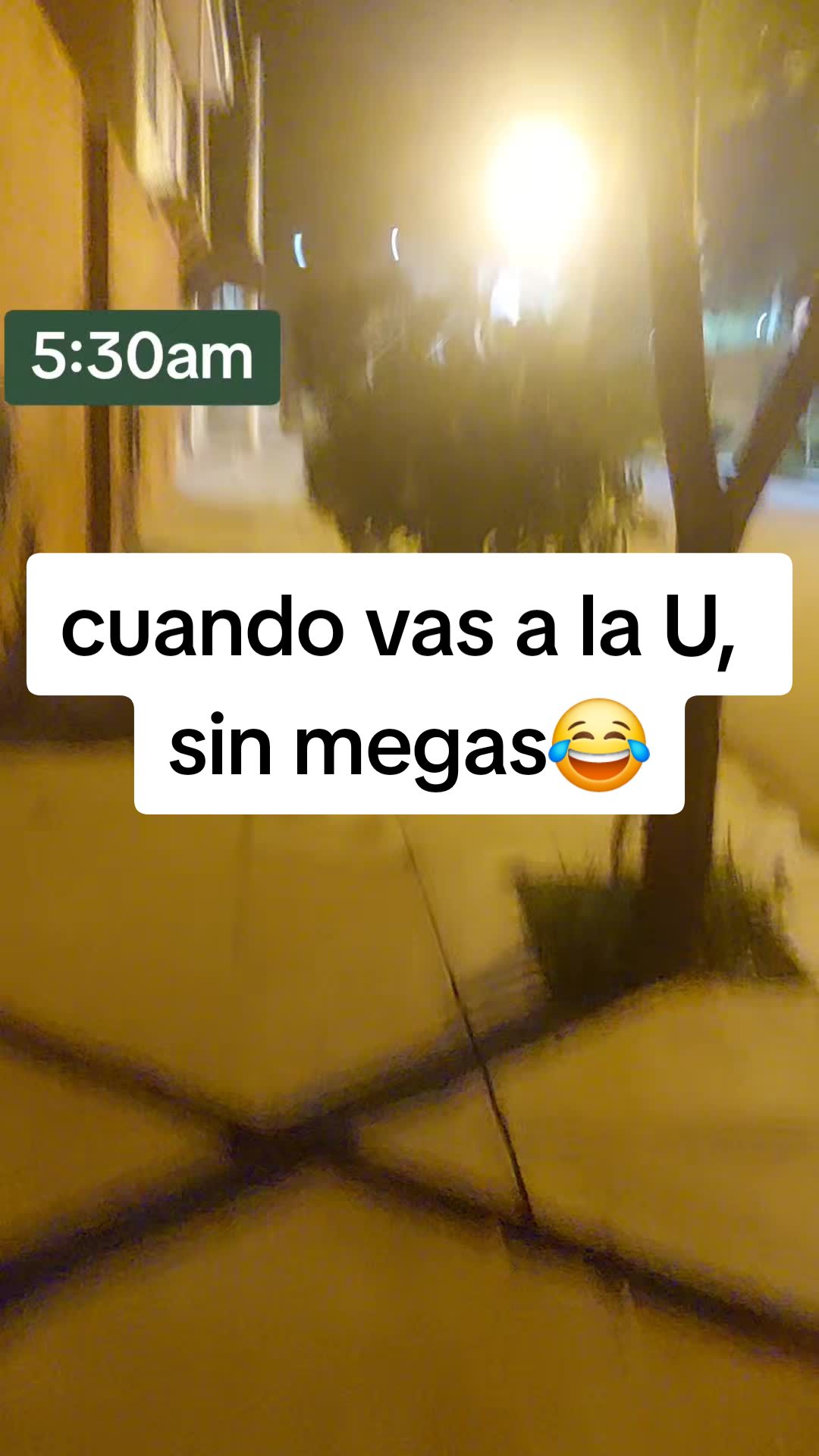 @Alex 🦴