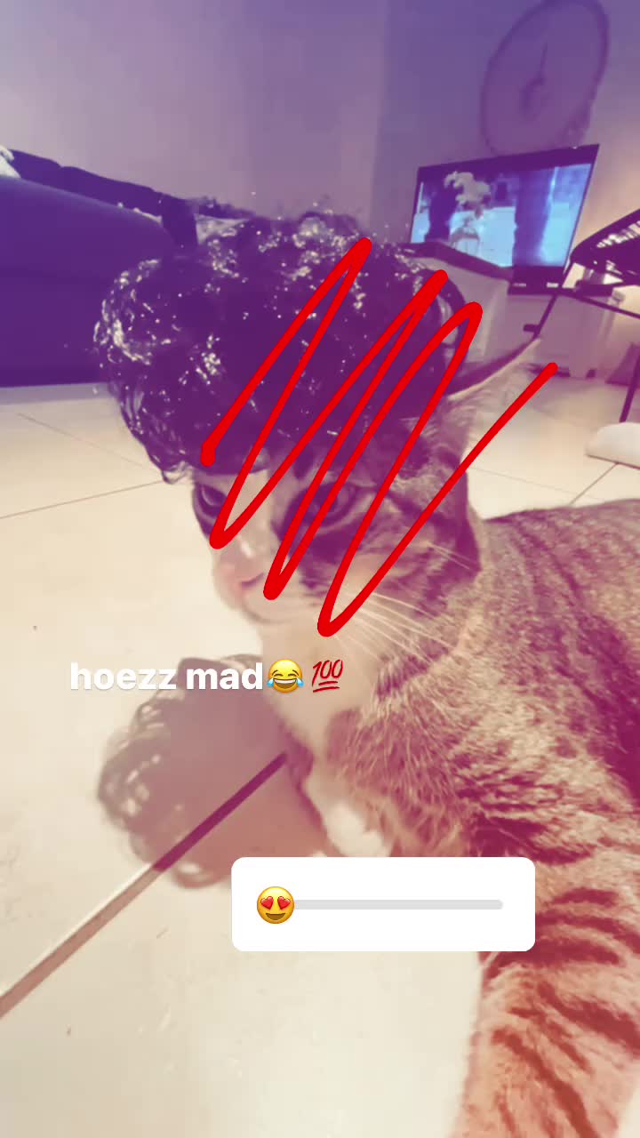 @hamish