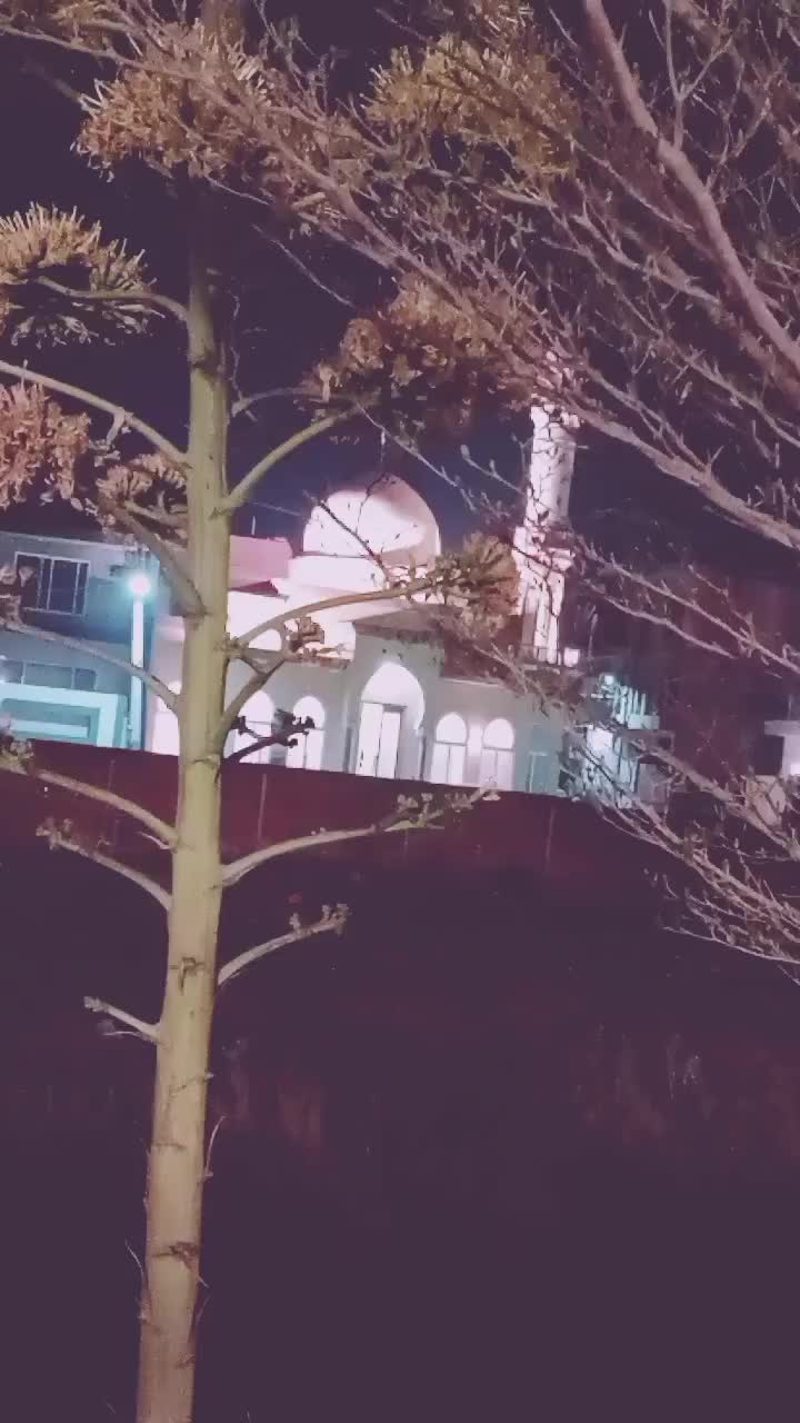 @Mr Akbar Pakistanii