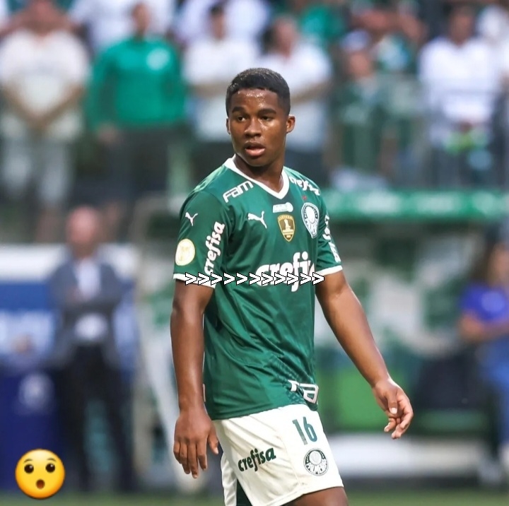 @Palmeirante&trade;