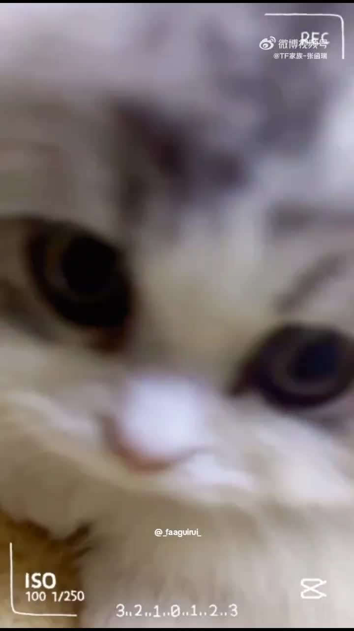 @ȥɠყ