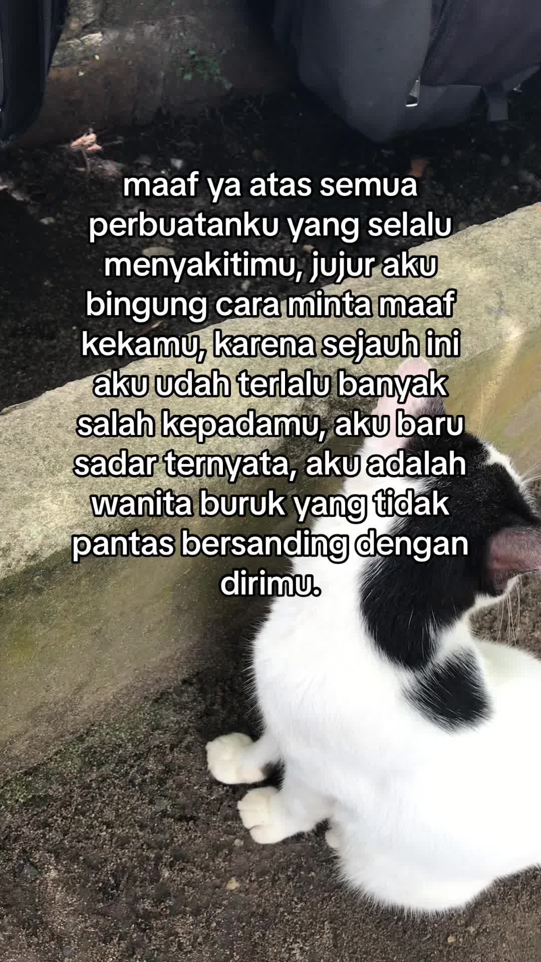 @dwnzwa
