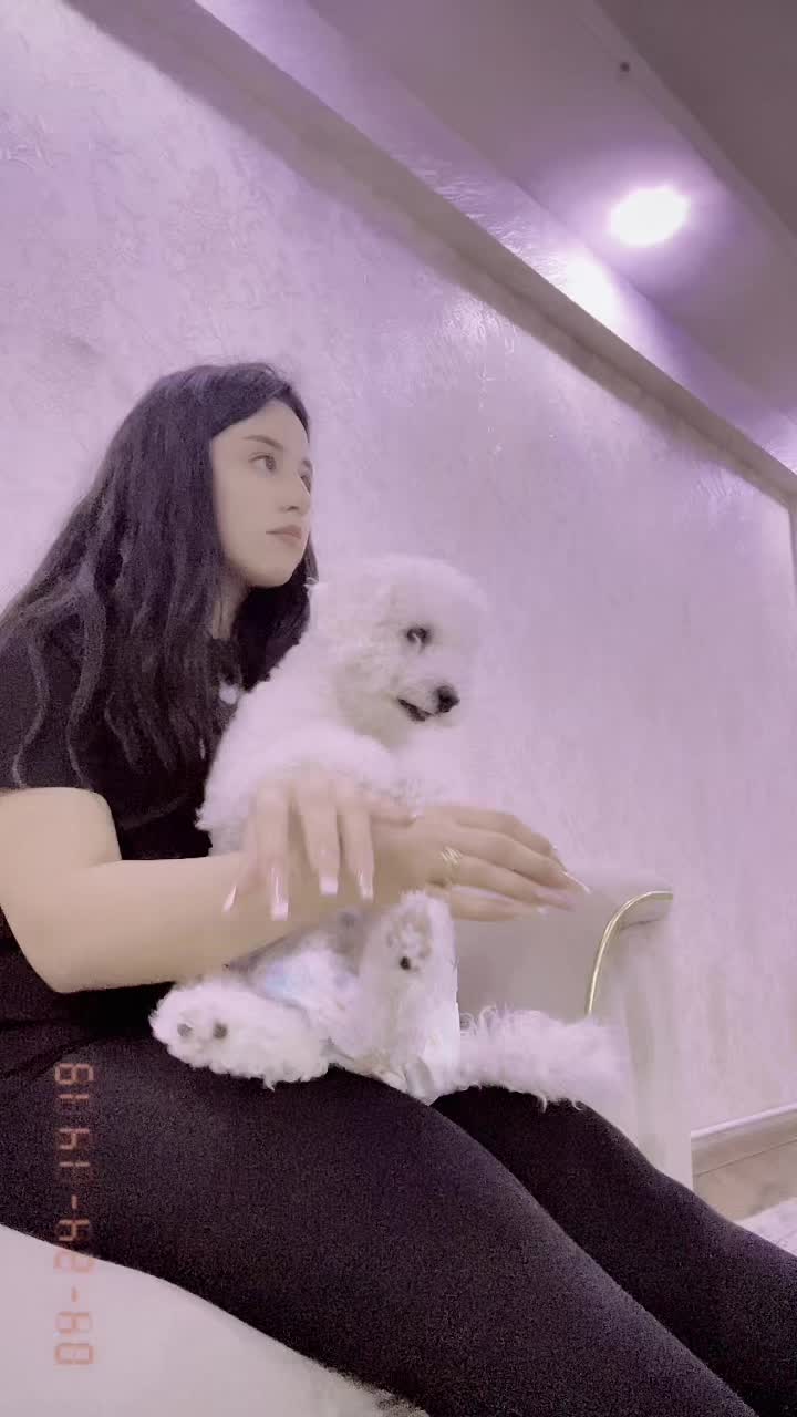 @Mexfi 718