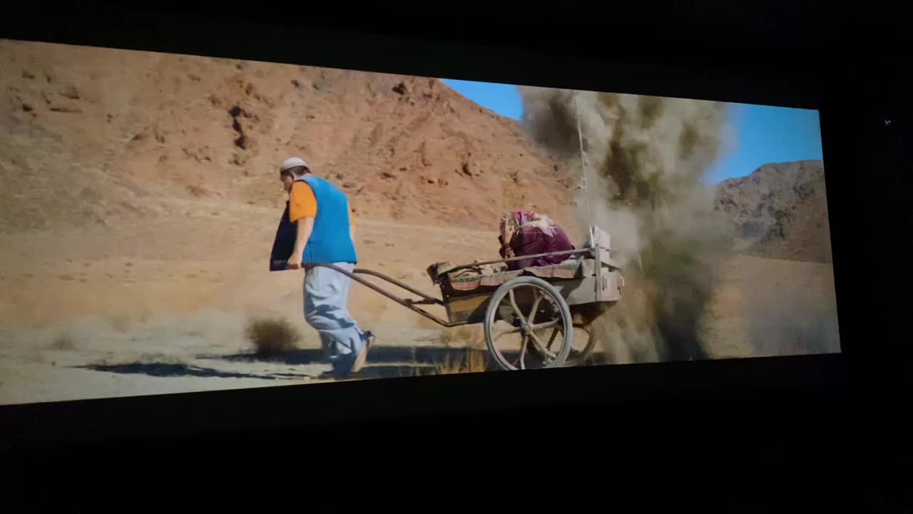 @🕊