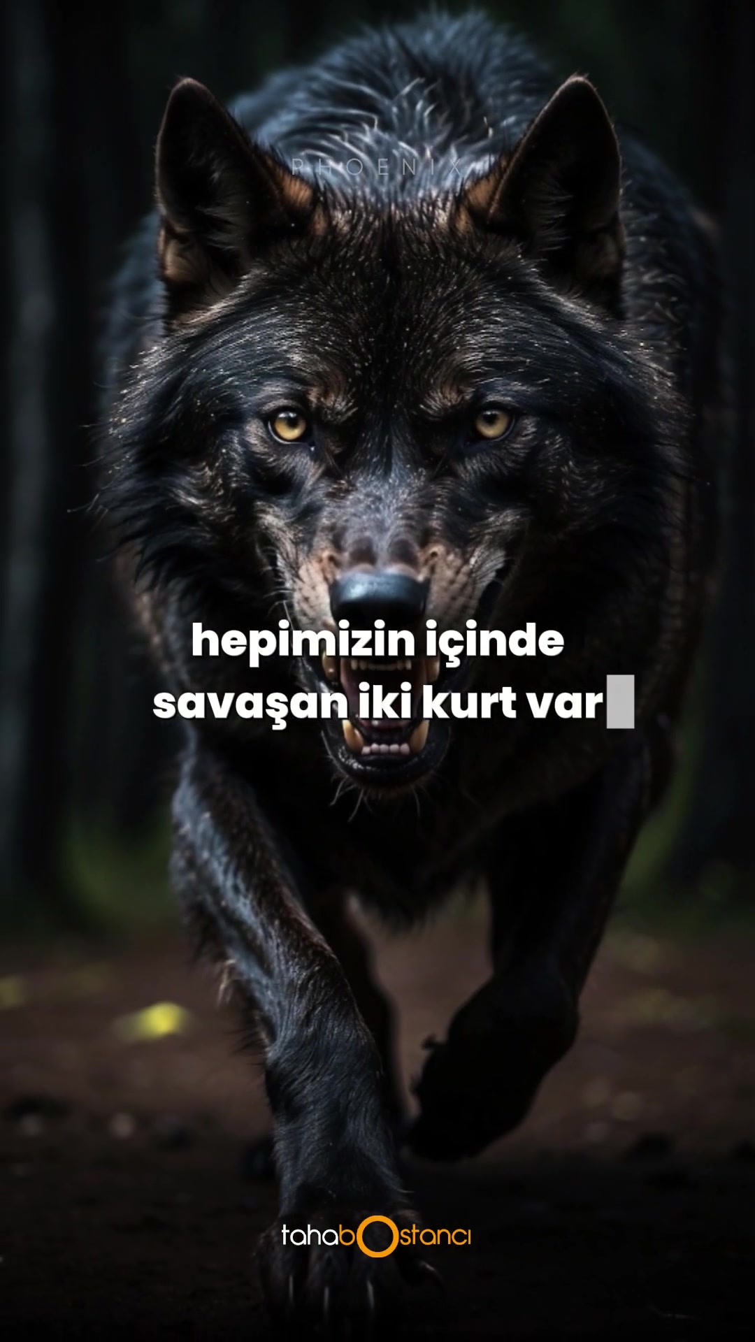 @Taha Bostancı