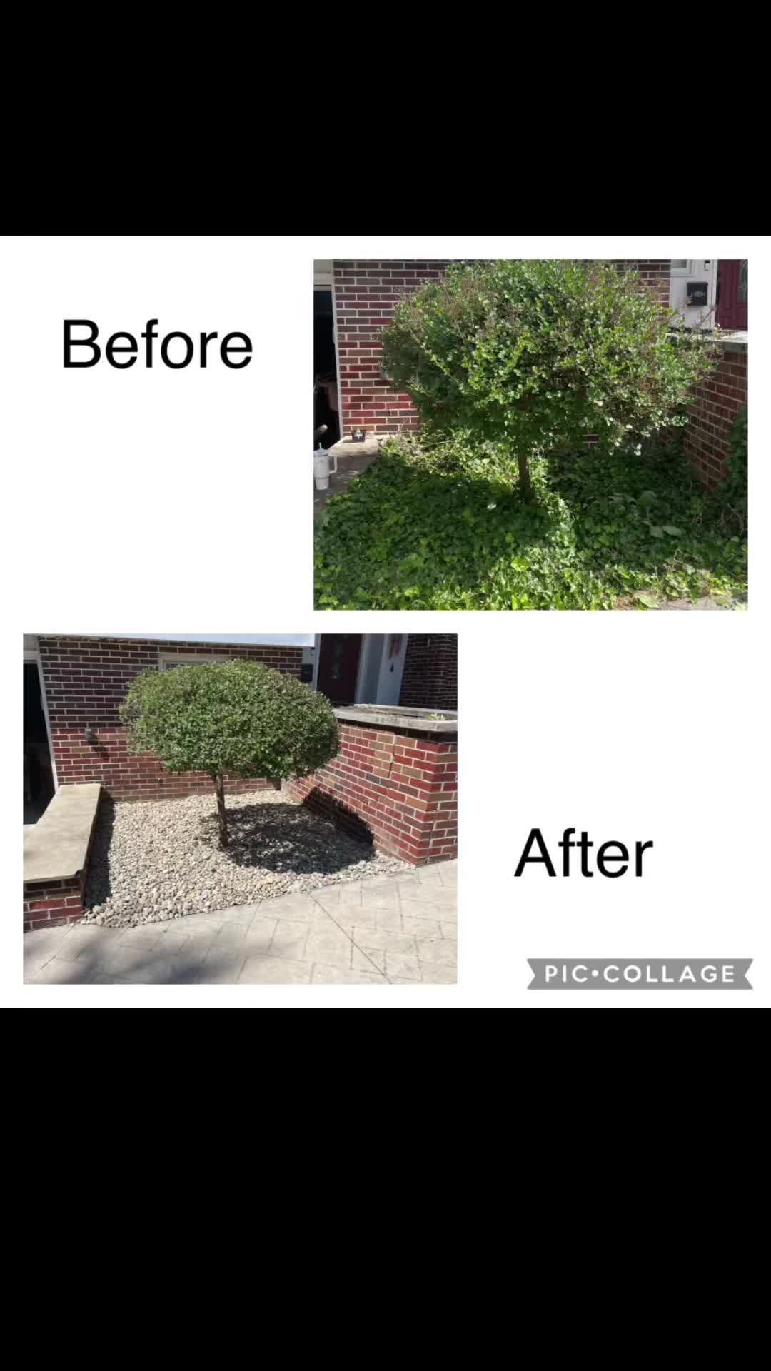 @LEGENDARY LAWNCARE
