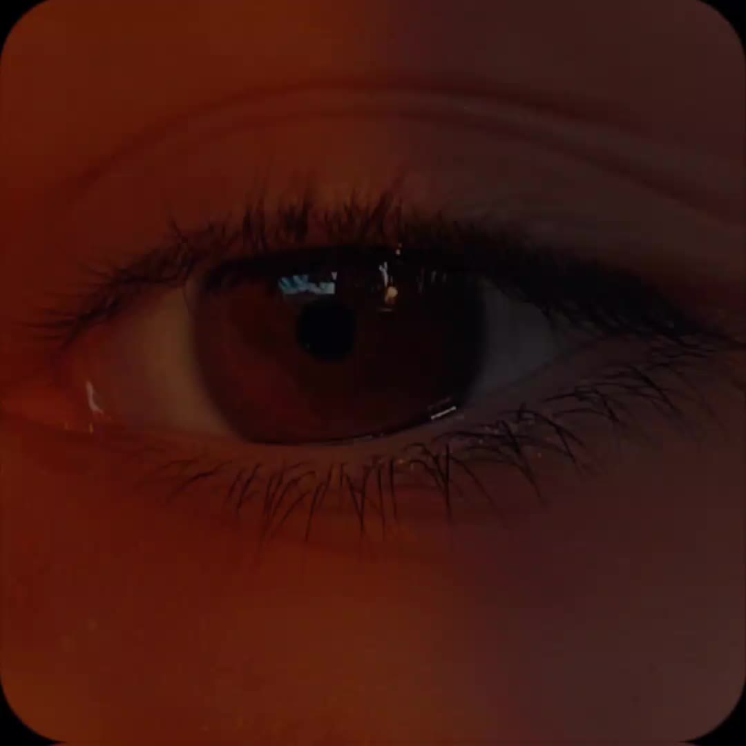 @avivun
