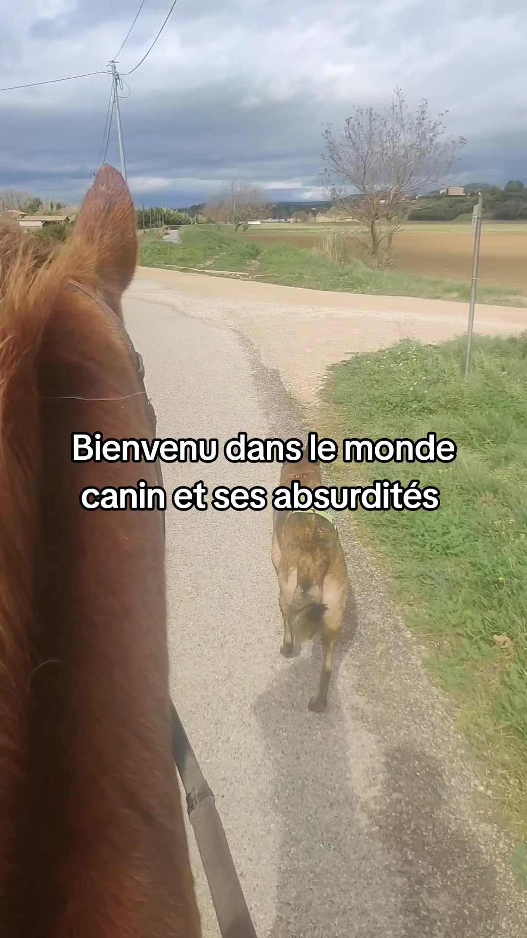 @AhlFa