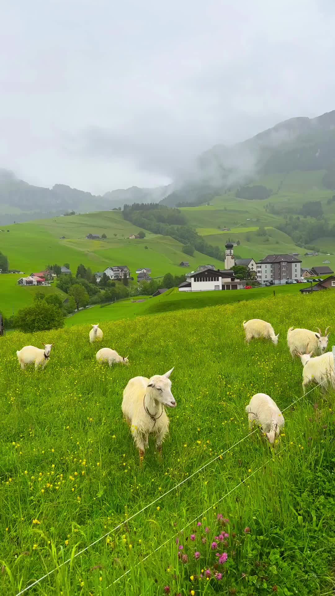 @Switzerland Guide 🇨🇭