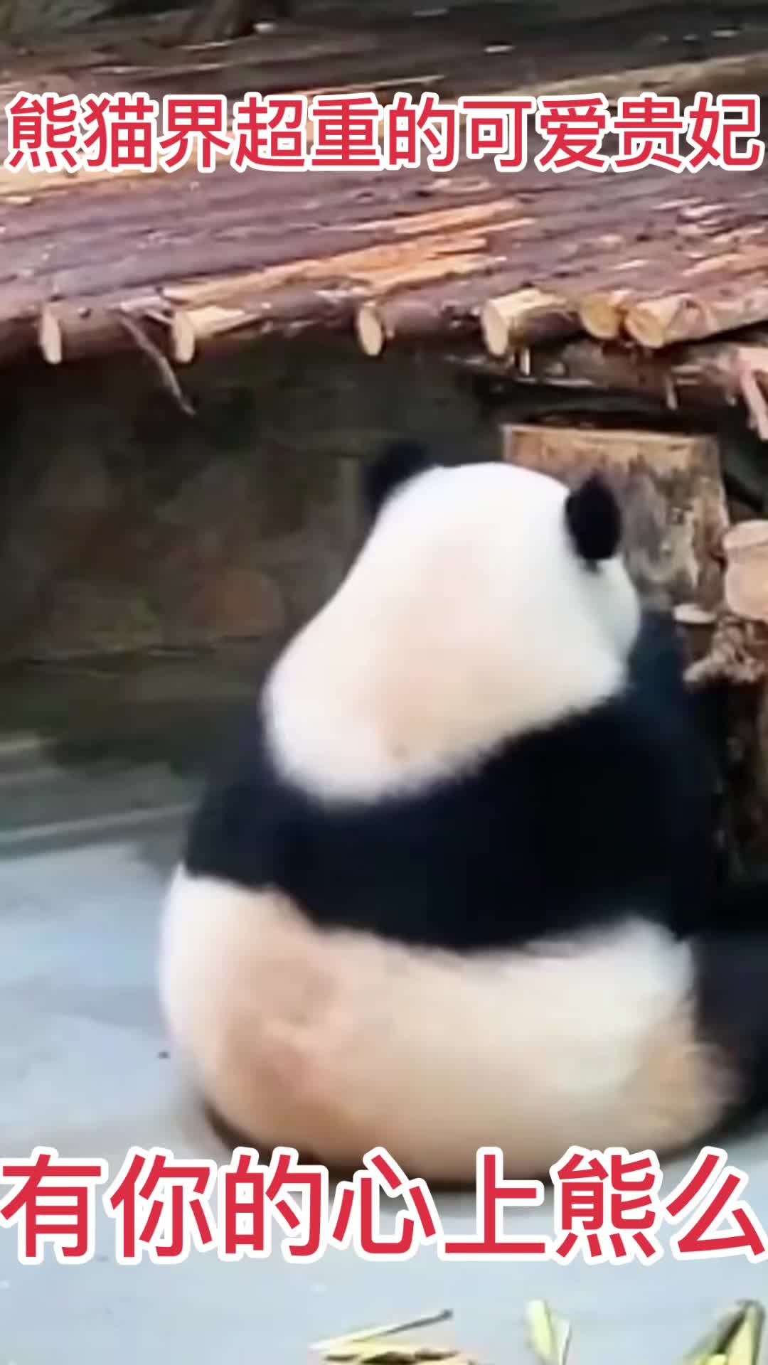 @一生等待
