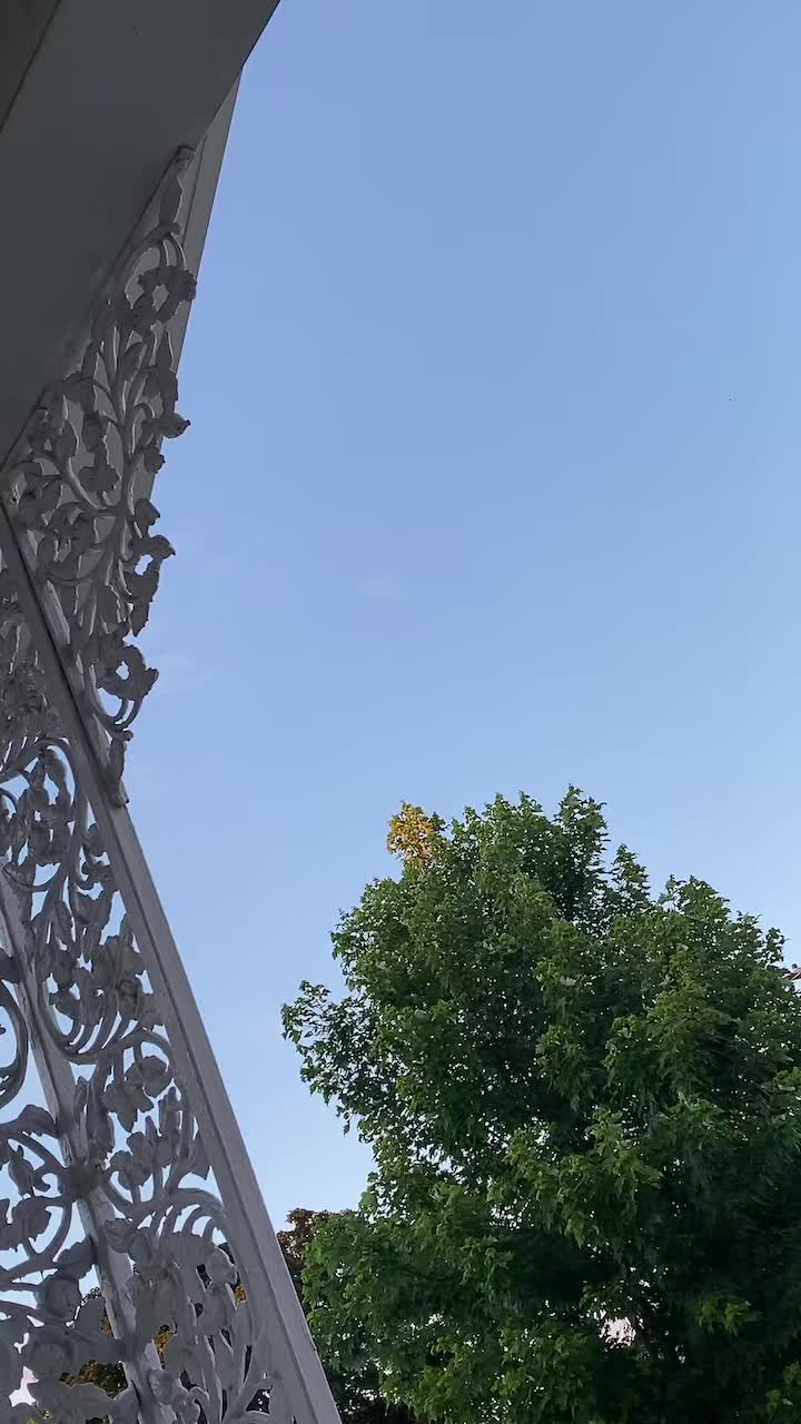 @يارب