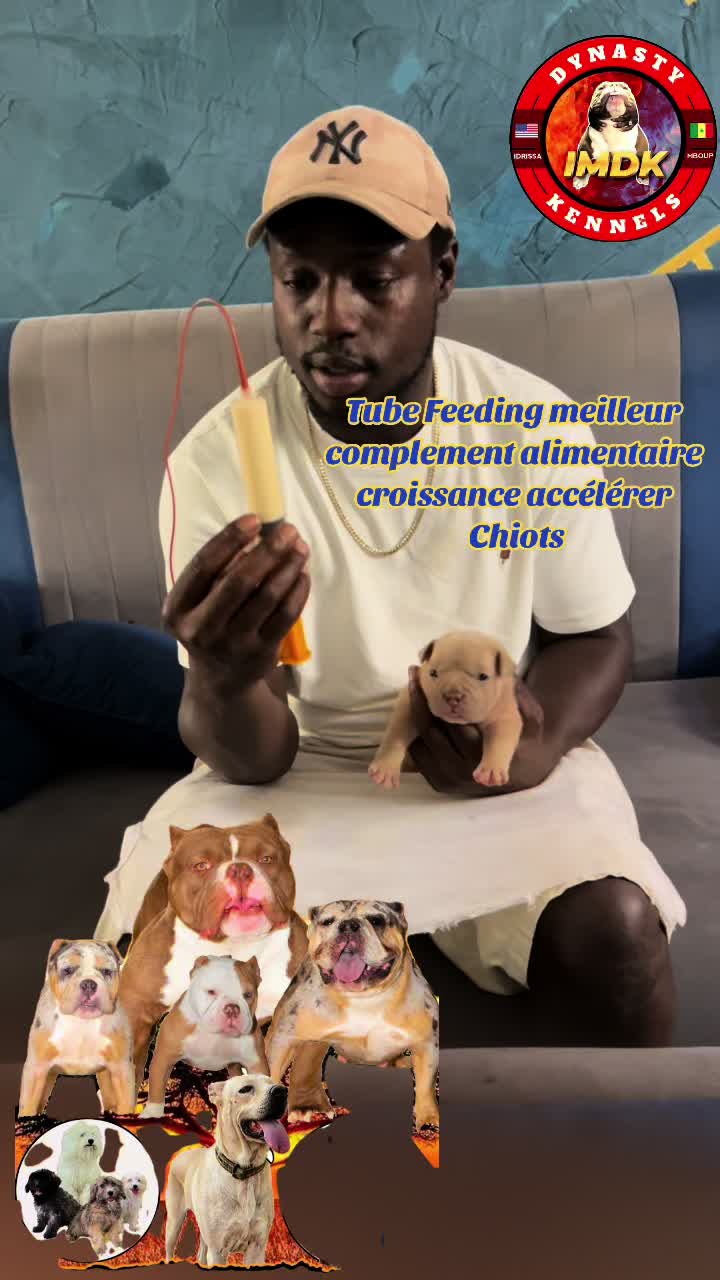 @imdkennels