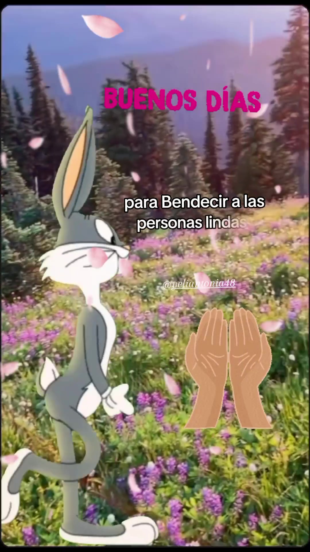 @Yeliantonia