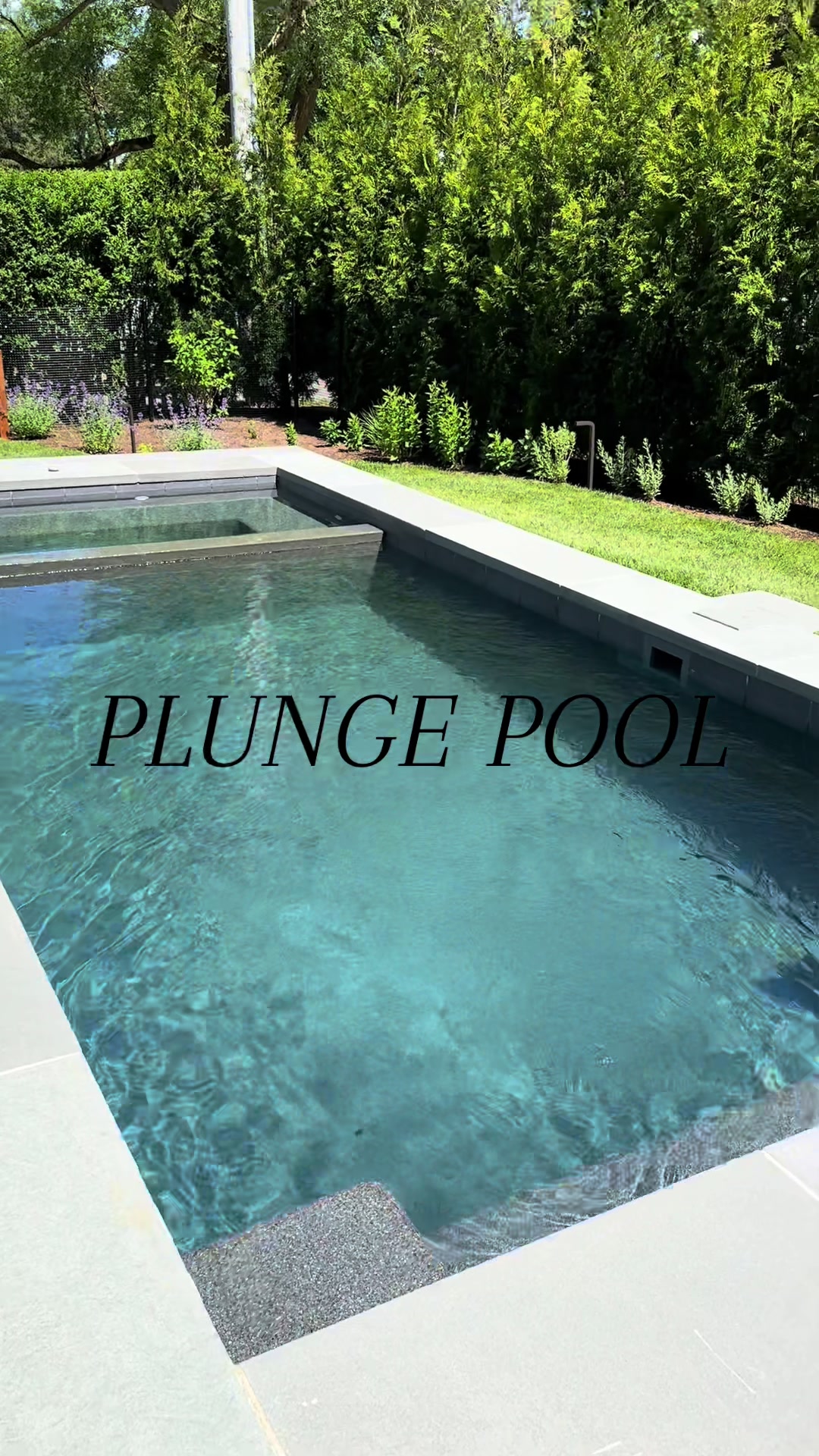 @Plunge Plus