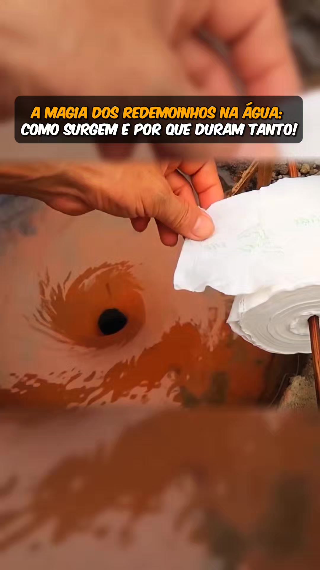 @Futuro Curioso [OFICIAL]