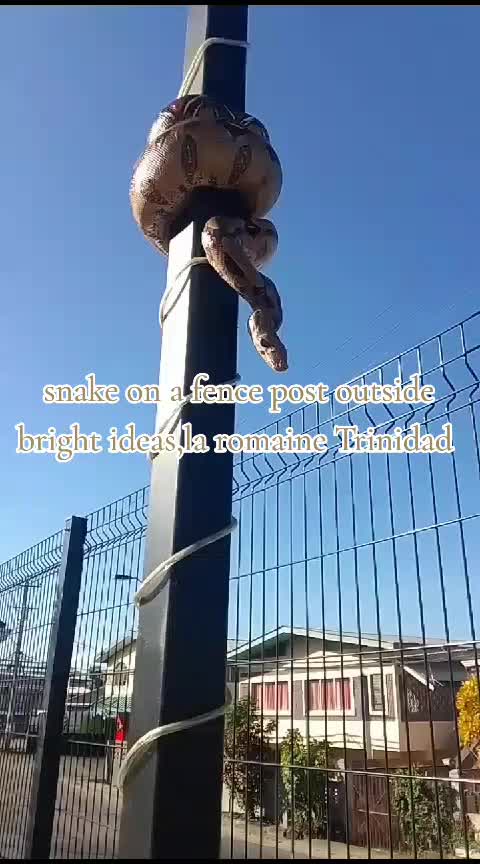 @darrel supersad