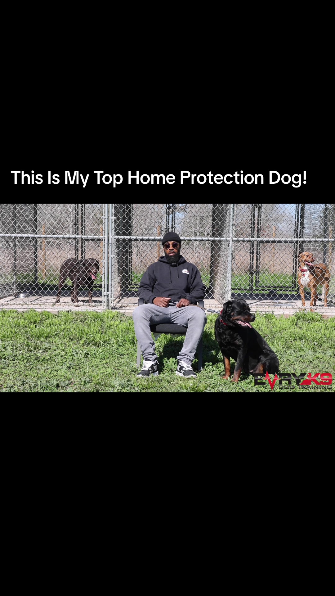 @Evry K9