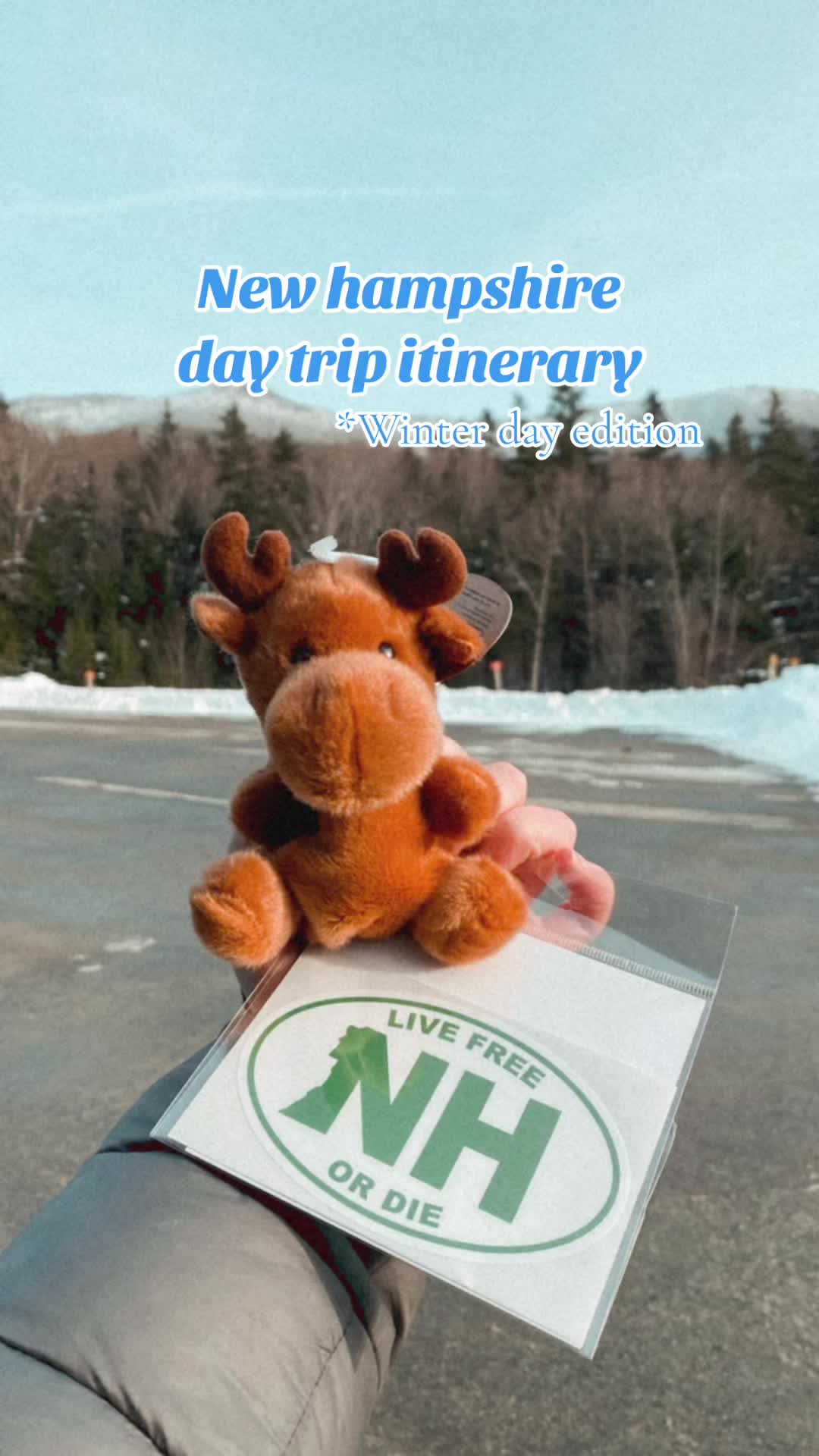 @Nic🌲Solo Traveler & Adventure