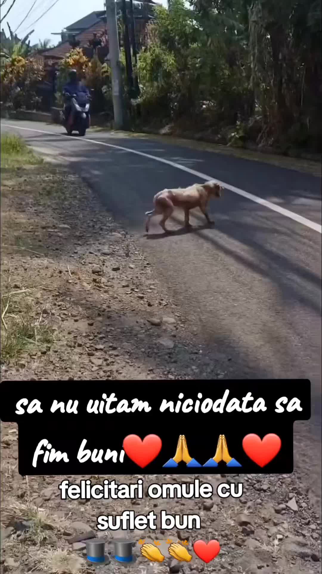 @Gheorghe Radu